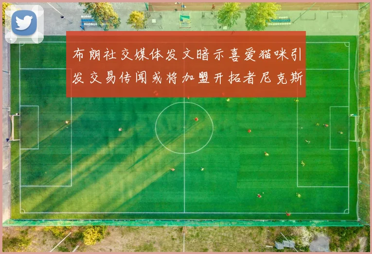 布朗社交媒体发文暗示喜爱猫咪引发交易传闻或将加盟开拓者尼克斯雷霆湖人